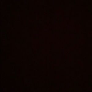 Meet your Posher, Darryn